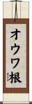 オウワ根 Scroll