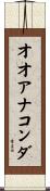 オオアナコンダ Scroll