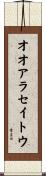 オオアラセイトウ Scroll