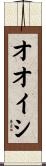 オオイシ Scroll