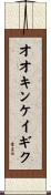 オオキンケイギク Scroll