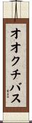オオクチバス Scroll