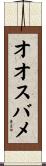 オオスバメ Scroll