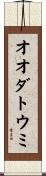 オオダトウミ Scroll