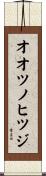 オオツノヒツジ Scroll