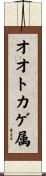 オオトカゲ属 Scroll