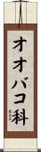 オオバコ科 Scroll