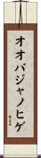 オオバジャノヒゲ Scroll