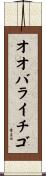 オオバライチゴ Scroll