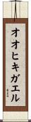 オオヒキガエル Scroll