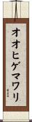 オオヒゲマワリ Scroll