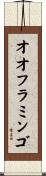 オオフラミンゴ Scroll