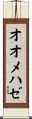 オオメハゼ Scroll