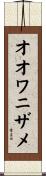 オオワニザメ Scroll