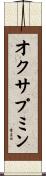 オクサプミン Scroll