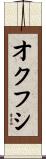 オクフシ Scroll