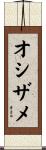 オシザメ Scroll