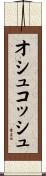オシュコッシュ Scroll