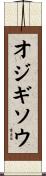 オジギソウ Scroll