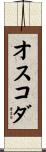 オスコダ Scroll