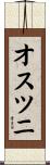 オスツニ Scroll
