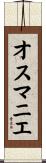オスマニエ Scroll