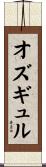 オズギュル Scroll