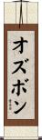 オズボン Scroll