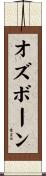 Osborn Scroll