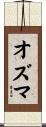 オズマ Scroll