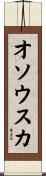 オソウスカ Scroll
