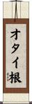 オタイ根 Scroll
