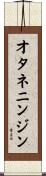 オタネニンジン Scroll