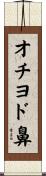 オチヨド鼻 Scroll