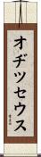 オヂツセウス Scroll