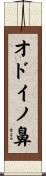 オドイノ鼻 Scroll