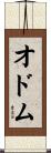 Odom Scroll