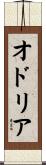 オドリア Scroll