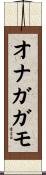 オナガガモ Scroll
