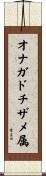 オナガドチザメ属 Scroll