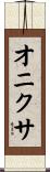 オニクサ Scroll