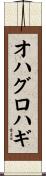オハグロハギ Scroll