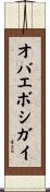 オバエボシガイ Scroll