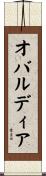 オバルディア Scroll