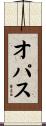 オパス Scroll