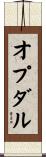 オプダル Scroll
