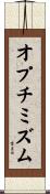 オプチミズム Scroll