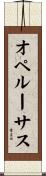 オペルーサス Scroll