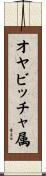 オヤビッチャ属 Scroll