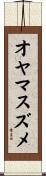オヤマスズメ Scroll